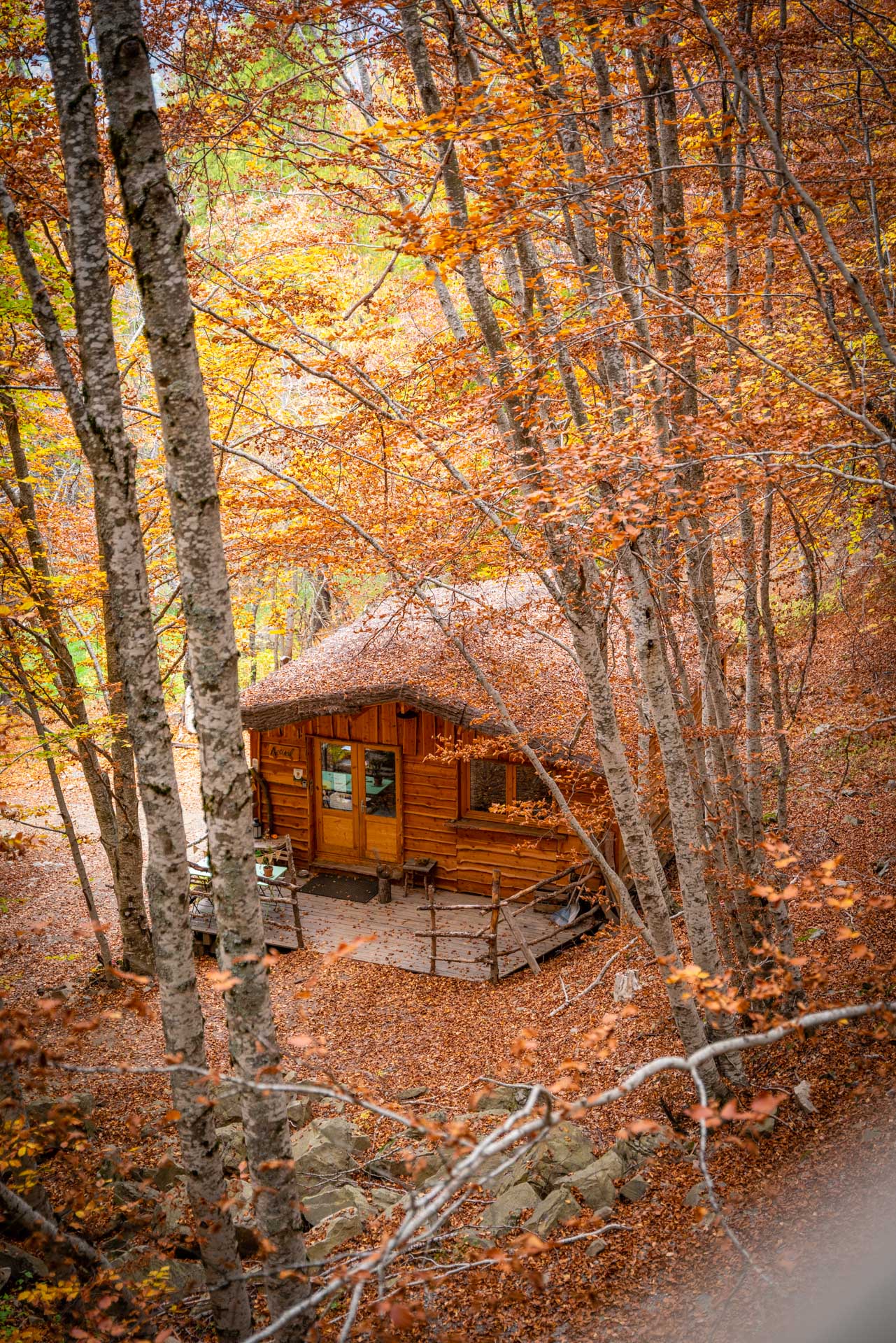 Cabane d'accueil